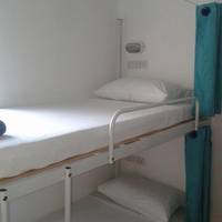 Bunk Bed in Mixed Dormitory Room