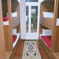 Bunk Bed in Mixed Dormitory Room