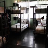 Bed in 6-Bed Mixed Dormitory Room (Shared Bathroom)