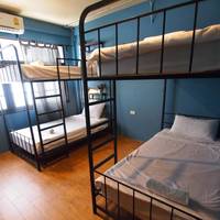 Bed in 4-Bed Mixed Dormitory Room