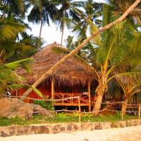 Bungalow - Beach Front