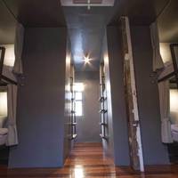 Bunk Bed in Mixed Dormitory Room