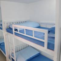 Bunk Bed in Mixed Dormitory Room