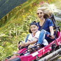Standard Double or Twin Room with free Rodelbahn ticket