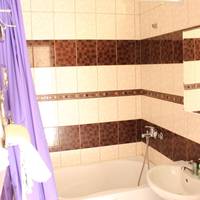 Superior Double or Twin Room with Mountain View