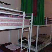 Bunk Bed in Mixed Dormitory Room