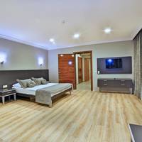 Deluxe King Suite