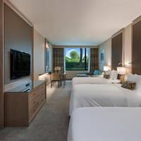 Garden Deluxe Twin room