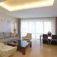 One Bedroom Apartment