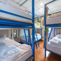 Bed in 6-Bed Mixed Dormitory Room