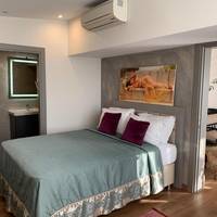 Junior Suite with Terrace