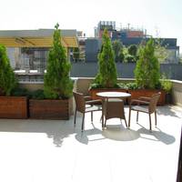 Suite with Terrace