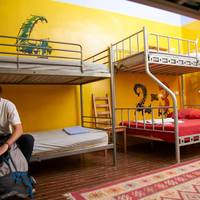 Bed in 6-Bed Mixed Dormitory Room