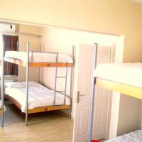 Single Bed in 6-Bed Dormitory Room