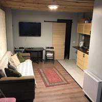 One-Bedroom Apartment (Basement Floor)