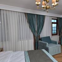 Superior Double or Twin Room (Annex)
