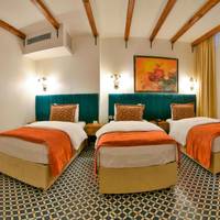 Mahsen Suite (Basement Room)