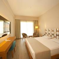Triple Room with Pool Access