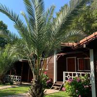Bungalow (2 Adults + 2 Children)