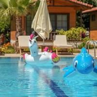 Double Room with Pool View