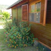 Bungalow (3 Adults)