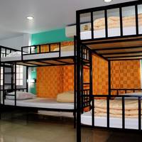 Bed in 8-Bed Mixed Dormitory Room