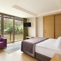 King Room - Non-Smoking