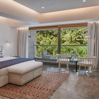 Superior Room with Forest view