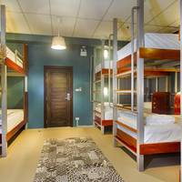 Bed in 10-Bed Mixed Dormitory Room