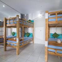 Bed in 6-Bed Mixed Dormitory Room