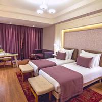 Deluxe Double or Twin Room with City View
