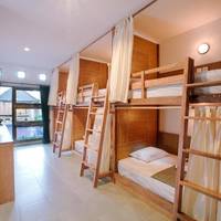 Bunk Bed in Mixed Dormitory Room