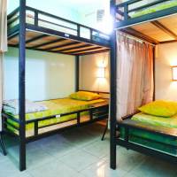 Bunk Bed in Mixed Dormitory Room