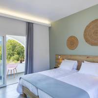 Deluxe Double or Twin Room with Pool View