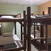 Bunk Bed in Mixed Dormitory Room with Shared Bathroom