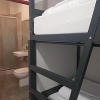 Single Bed in 4-Bed Dormitory Room