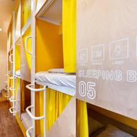 Bunk Bed in Mixed Dormitory Room