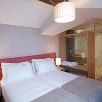 Twin Room with Terrace