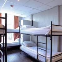 Bed in 6-Bed Dormitory Room