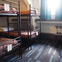 Bed in 4-Bed Mixed Dormitory Room with En Suite Shared Bathroom