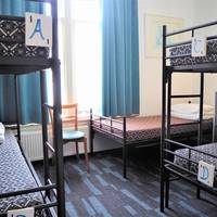 Bed in 5-Bed Mixed Dormitory Room with En Suite Shared Bathroom