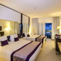 Superior Double or Twin Room with Terrace