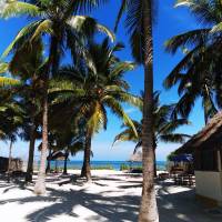 Bungalow - Beach Front