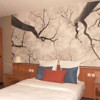 Large Single Room