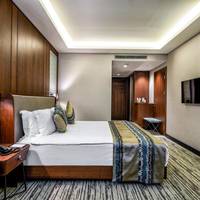 Standard Double Room with Atrium View