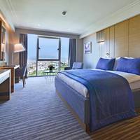Superior Room king bed