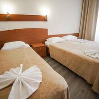 Deluxe Double or Twin Room with Balcony