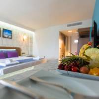 Deluxe Double or Twin Room with Garden View