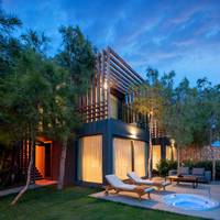 Forest Suite