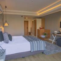 Double Room with Pool View